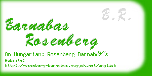 barnabas rosenberg business card